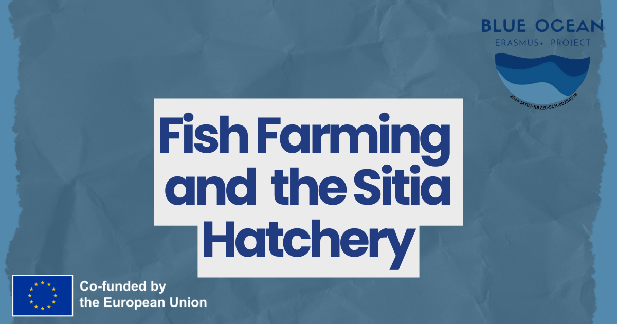 Fish Farming and the Sitia Hatchery
