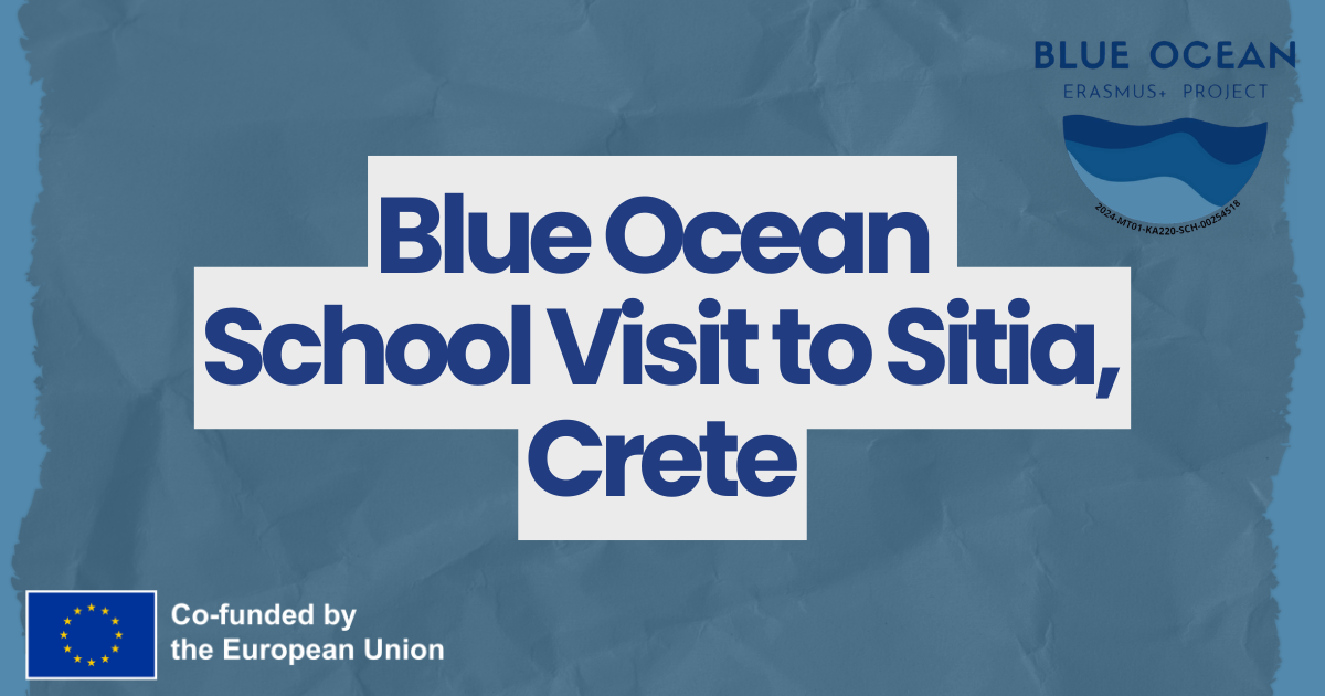 Learning from the Sea: Blue Ocean School Visit to Sitia, Crete